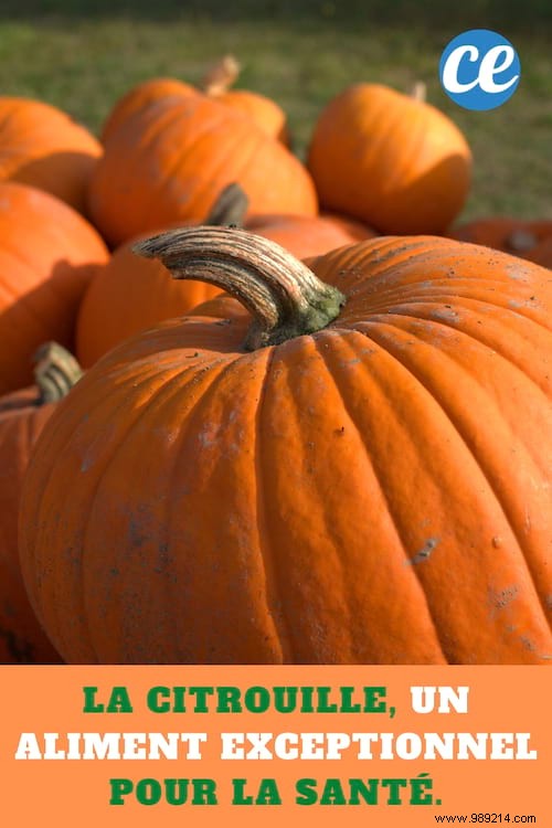 The Pumpkin, an Exceptional Food for Health. 