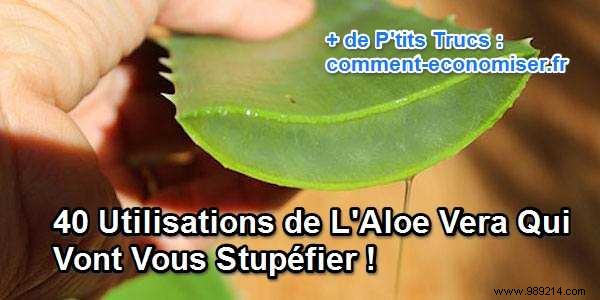 40 Uses of Aloe Vera That Will Amaze You! 