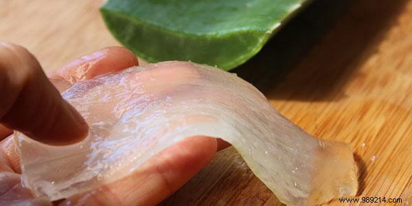 40 Uses of Aloe Vera That Will Amaze You! 