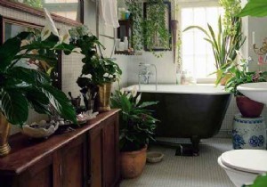 6 Indoor Plants That Purify the Air. 