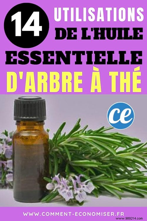 Tea Tree Essential Oil:14 Must-Know Uses. 