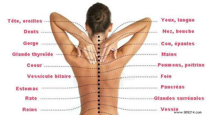 Here is the Real Cause of Your Pain:How the Spine is Connected to All the Organs. 