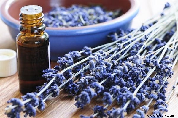 My 5 Favorite Essential Oils:How To Use Them? 