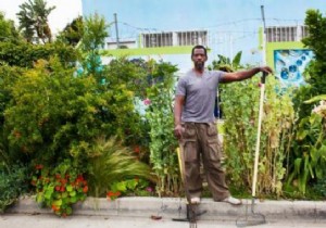 In the United States, a Gangster-Gardener Illegally Plants Organic Vegetables to Eat Local. 