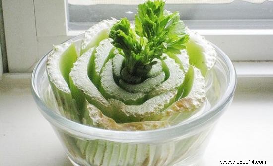 10 vegetables you can regrow forever! 