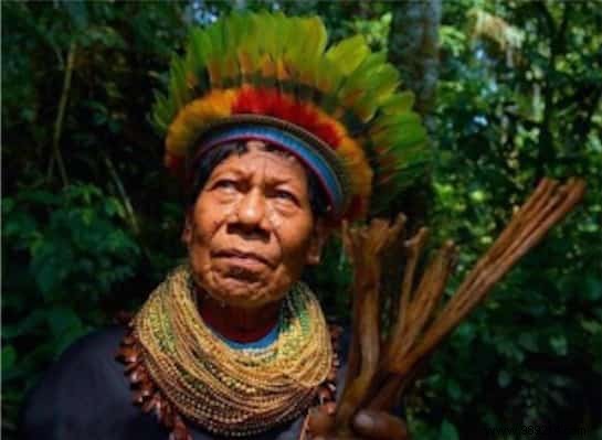 An Amazonian Tribe Creates an Encyclopedia of Traditional Medicine 