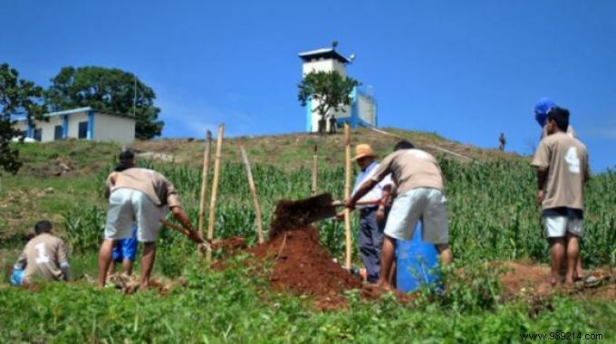 El Salvador Bans Monsanto s Roundup and Experiences RECORD Harvests. 