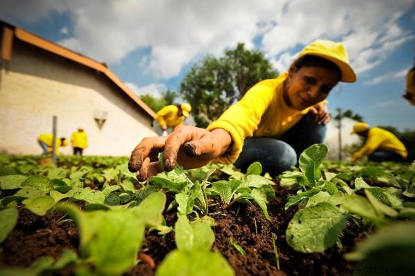 El Salvador Bans Monsanto s Roundup and Experiences RECORD Harvests. 