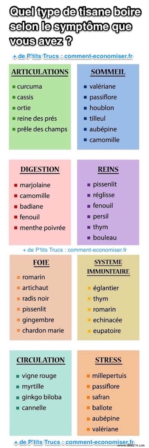 What Type of Herbal Tea to Drink According to the Symptom You Have? 