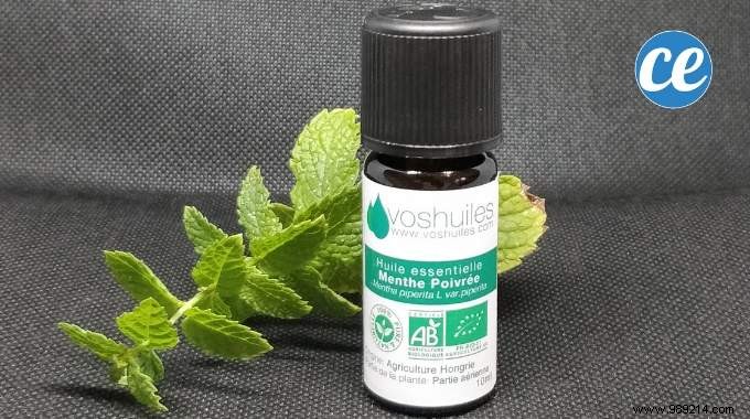 33 Amazing Uses of Peppermint Essential Oil. 