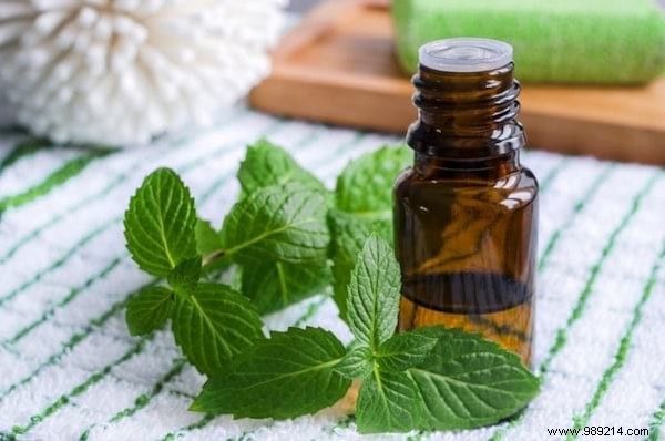 33 Amazing Uses of Peppermint Essential Oil. 