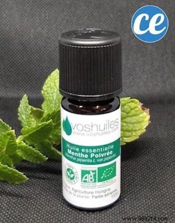 33 Amazing Uses of Peppermint Essential Oil. 