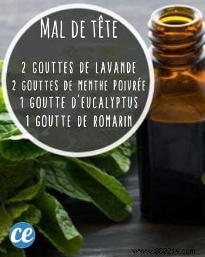 10 Essential Oil Diffuser Recipes You Can t Do Without! 