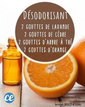 10 Essential Oil Diffuser Recipes You Can t Do Without! 