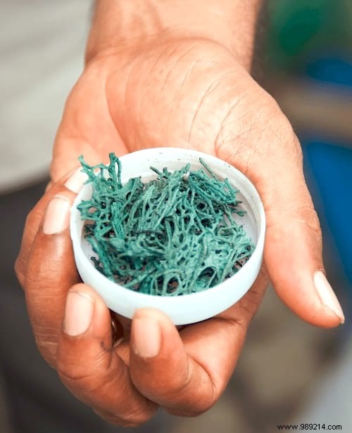 Spirulina:10 Health Benefits Everyone Should Know. 