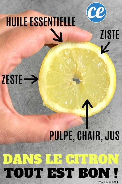 In Le Citron Everything is Good! All The Uses You Should Know About. 