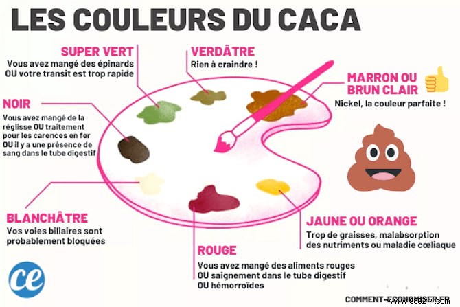 What Your Poop Says About Your Health (Based On Its Color, Size &Shape). 