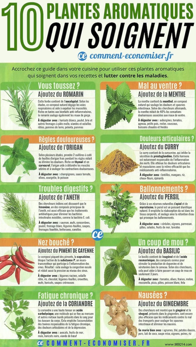 10 Herbs That Heal (And Which To Use According To Your Symptoms). 