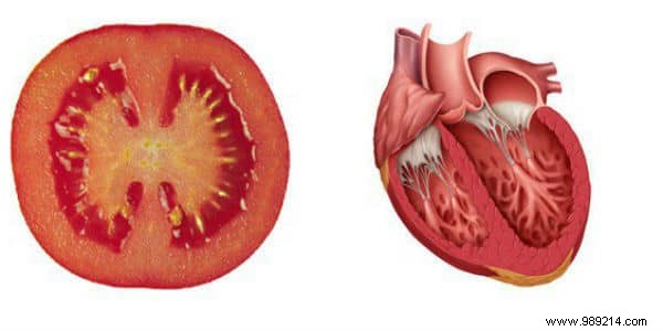 8 Foods That Heal the Organs They Look Like. 