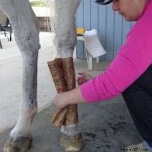 15 Tips To Make Life Easier For Anyone Who Rides A Horse. 