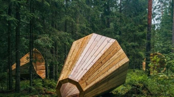 Huge Wooden Megaphones Amplify Forest Sounds in Estonia. 