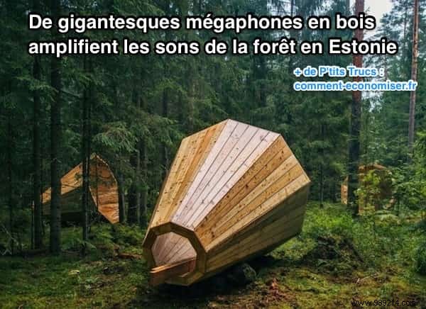 Huge Wooden Megaphones Amplify Forest Sounds in Estonia. 