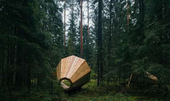 Huge Wooden Megaphones Amplify Forest Sounds in Estonia. 