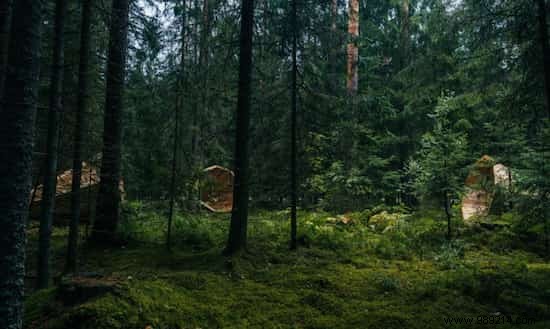 Huge Wooden Megaphones Amplify Forest Sounds in Estonia. 