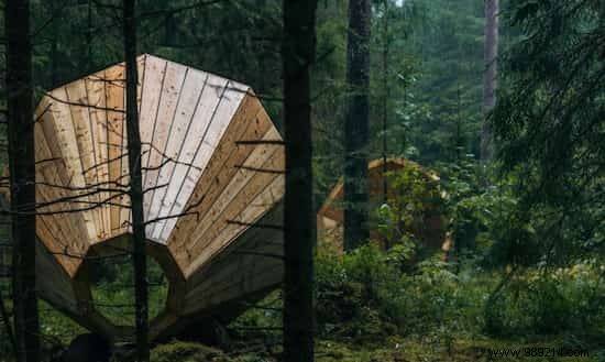 Huge Wooden Megaphones Amplify Forest Sounds in Estonia. 