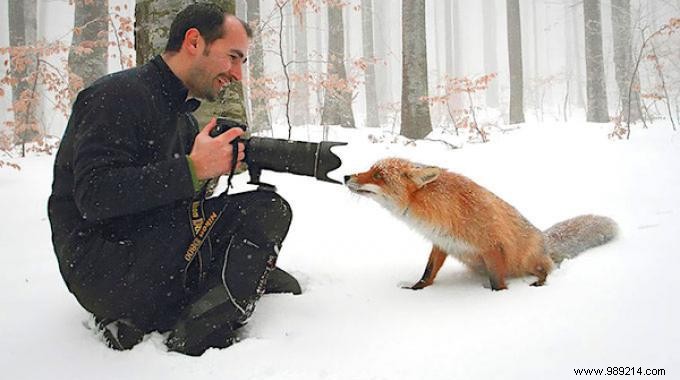 20 Photos That Prove Being a Wildlife Photographer Is the Best Job in the World. 