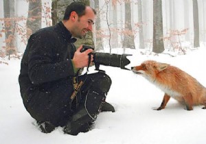 20 Photos That Prove Being a Wildlife Photographer Is the Best Job in the World. 