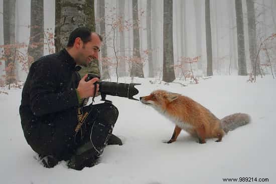 20 Photos That Prove Being a Wildlife Photographer Is the Best Job in the World. 