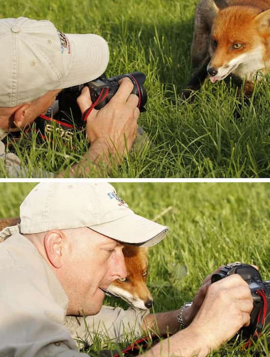 20 Photos That Prove Being a Wildlife Photographer Is the Best Job in the World. 