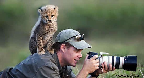 20 Photos That Prove Being a Wildlife Photographer Is the Best Job in the World. 