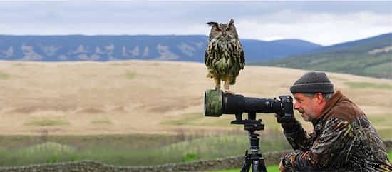 20 Photos That Prove Being a Wildlife Photographer Is the Best Job in the World. 