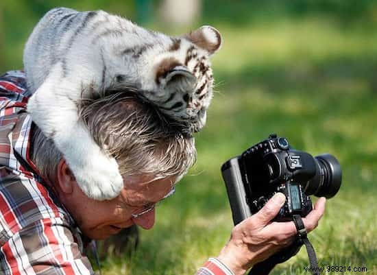 20 Photos That Prove Being a Wildlife Photographer Is the Best Job in the World. 