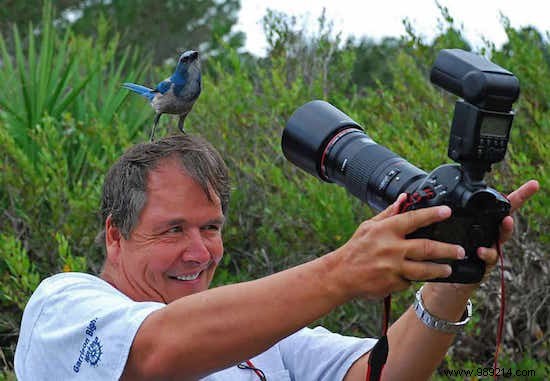 20 Photos That Prove Being a Wildlife Photographer Is the Best Job in the World. 