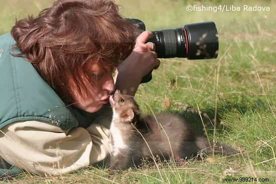 20 Photos That Prove Being a Wildlife Photographer Is the Best Job in the World. 