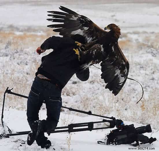 20 Photos That Prove Being a Wildlife Photographer Is the Best Job in the World. 