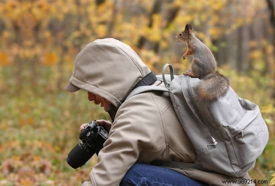 20 Photos That Prove Being a Wildlife Photographer Is the Best Job in the World. 