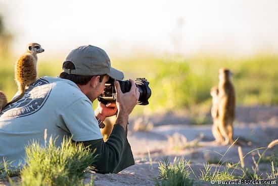 20 Photos That Prove Being a Wildlife Photographer Is the Best Job in the World. 