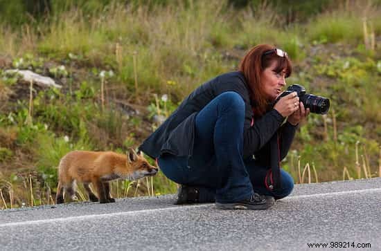 20 Photos That Prove Being a Wildlife Photographer Is the Best Job in the World. 