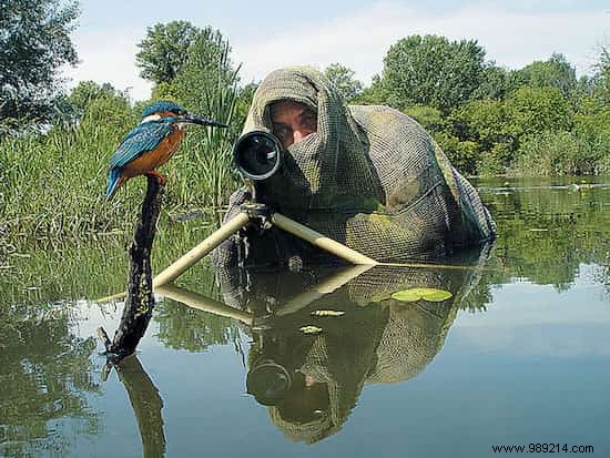 20 Photos That Prove Being a Wildlife Photographer Is the Best Job in the World. 