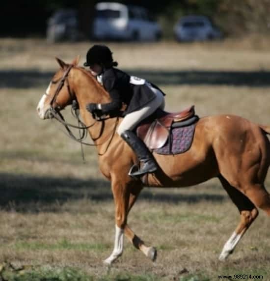 Survival Tips:How to Control a Running Horse? 