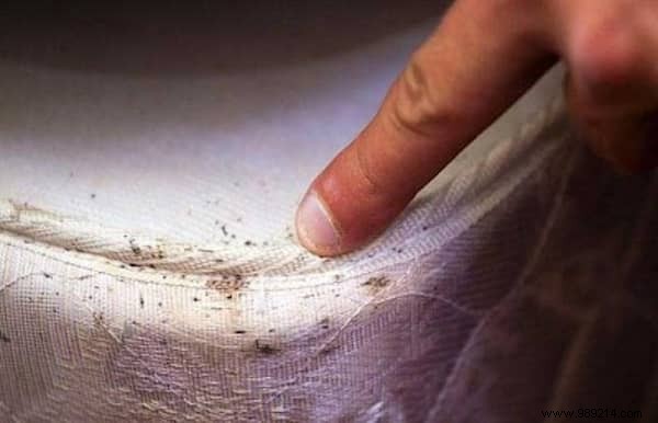 Here s How To Tell If There Are Bed Bugs In Your Hotel Room. 