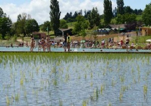 Belgium Opens the Doors of Its FIRST Organic Municipal Swimming Pool. 