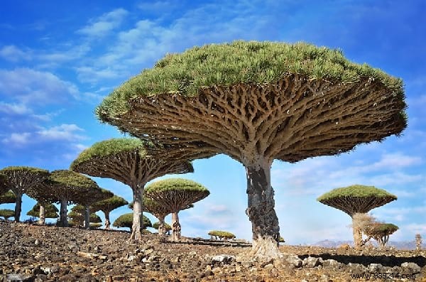 29 Exceptional Landscapes On Earth That You Think Come From Another Planet. 