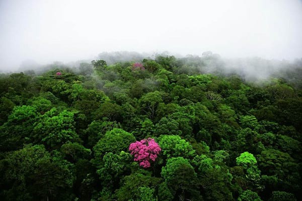 35 BREATHTAKING Landscapes Seen From The Sky! 