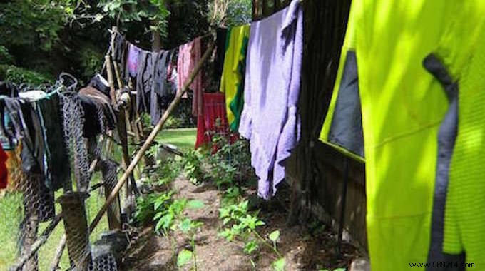 Drain Your Laundry and Water Your Garden AT THE SAME TIME. 