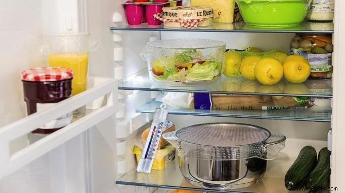 Electricity Savings:Check the Internal Temperature of the Refrigerator. 